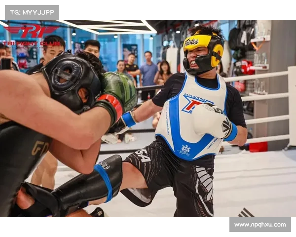 世界顶级自由搏击赛事、世界级自由搏击比赛