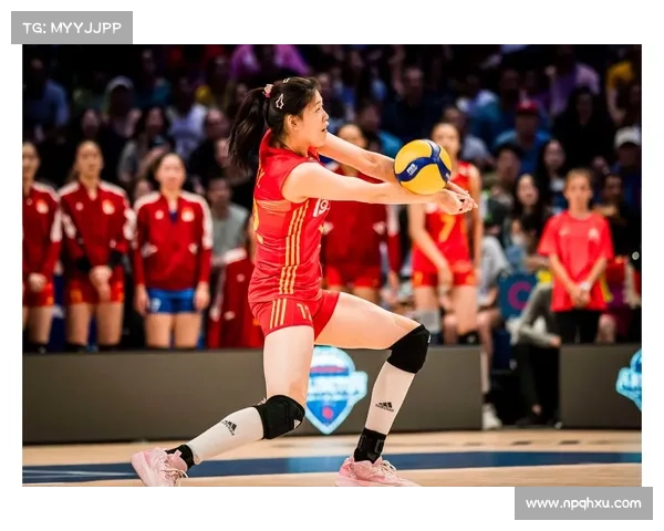 今年的女排联赛