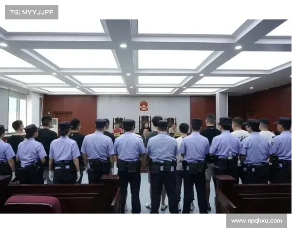 体育仲裁法庭何时成立 体育仲裁法庭何时成立