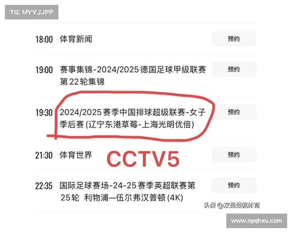 女排今天直播cctv5视频