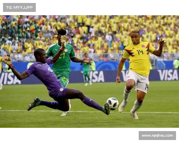 巴西国际赛事、巴西国际比赛直播