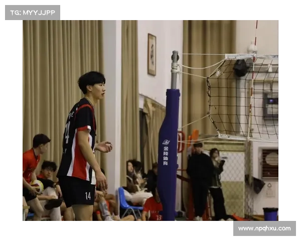 排球比赛下载赛事—排球比赛游戏手机版